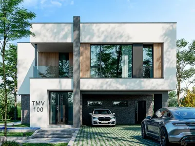 TMV 100