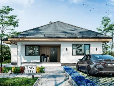 TMV 119
