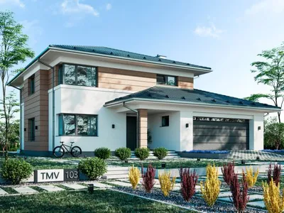 TMV 103