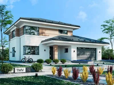 TMV 16