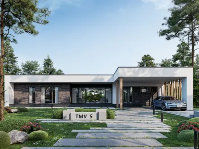 TMV 5