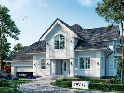 TMV 42