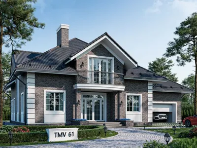 TMV 61