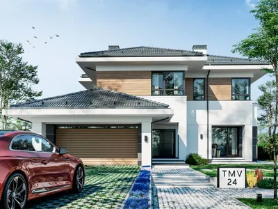 TMV 24