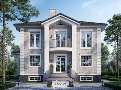 TMV 21